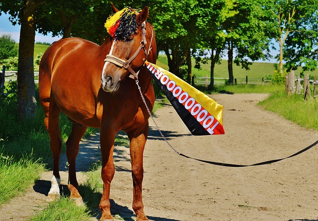 WTT乒乓總決賽續吹冷風　孫穎莎負陳幸同女雙、女單均慘歷一輪遊.