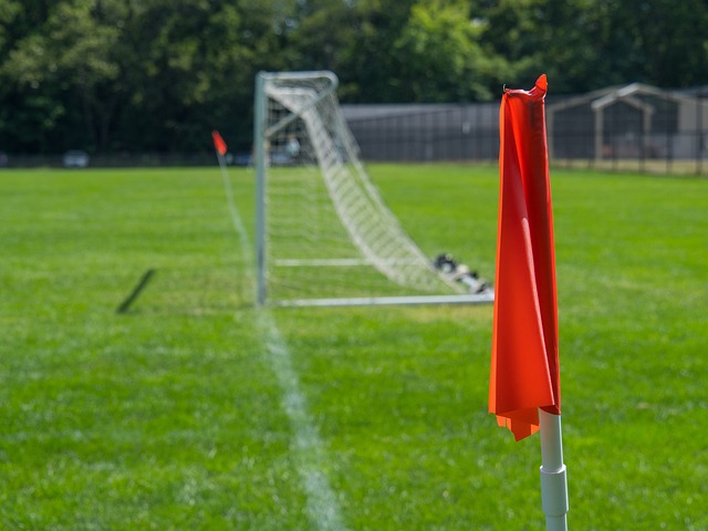 在亚冬会短 在亚冬会短