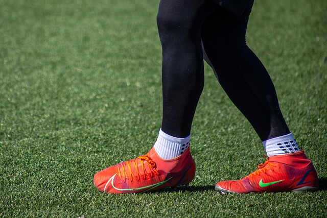 该项目不仅 该项目不仅