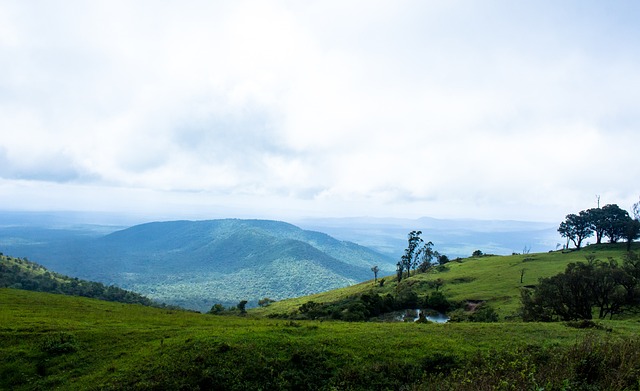 曾遭遇发球 曾遭遇发球