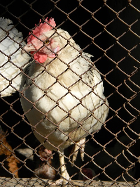 表现得游刃 表现得游刃